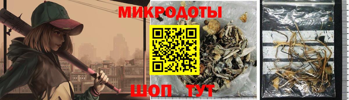 Ставрополь  Псилоцибиновые грибы прущие грибы  Вход с VPN 